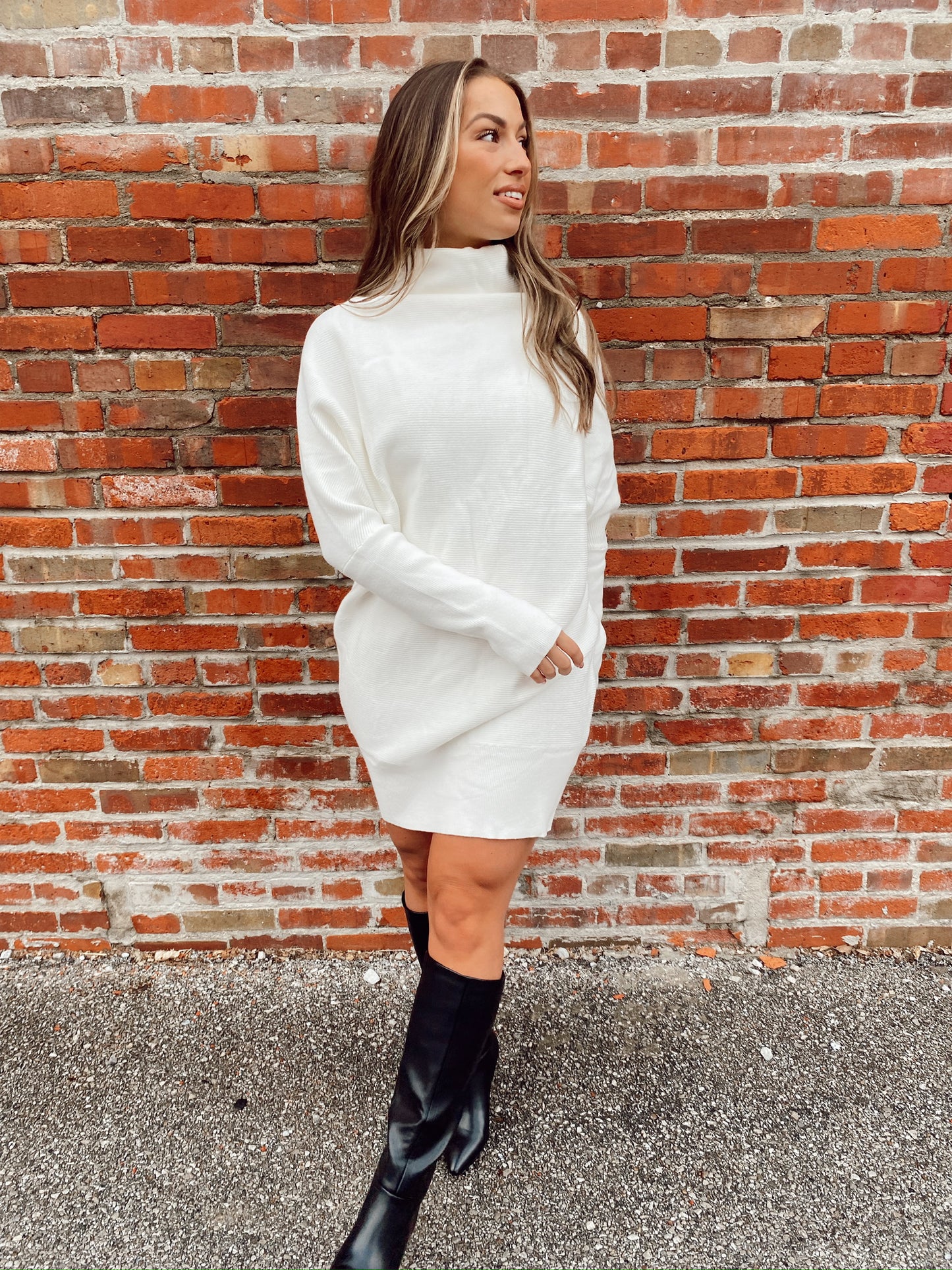 Tori Turtleneck Dress