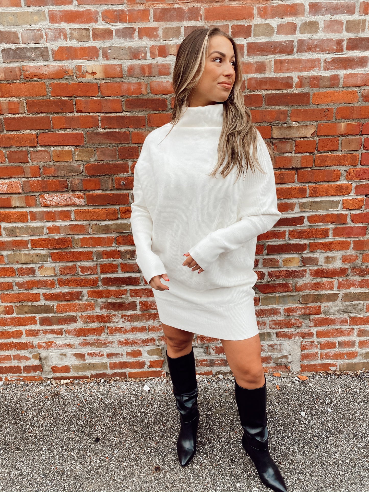 Tori Turtleneck Dress